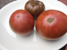 Cherokee Purple Tomatoes